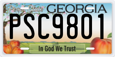 GA license plate PSC9801