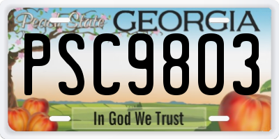 GA license plate PSC9803