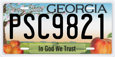 GA license plate PSC9821