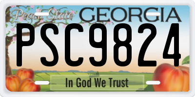 GA license plate PSC9824