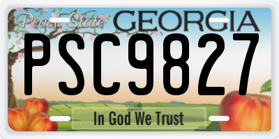 GA license plate PSC9827