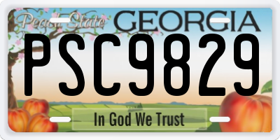 GA license plate PSC9829