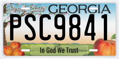 GA license plate PSC9841