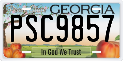 GA license plate PSC9857