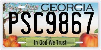 GA license plate PSC9867