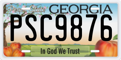 GA license plate PSC9876