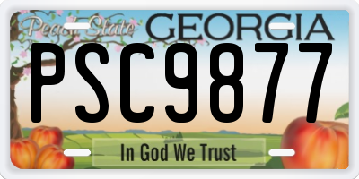 GA license plate PSC9877