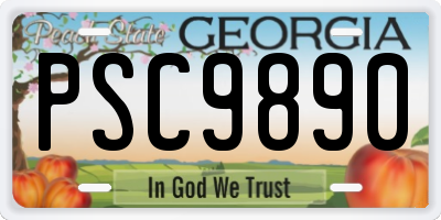 GA license plate PSC9890