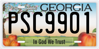 GA license plate PSC9901