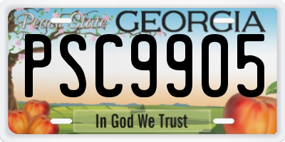 GA license plate PSC9905