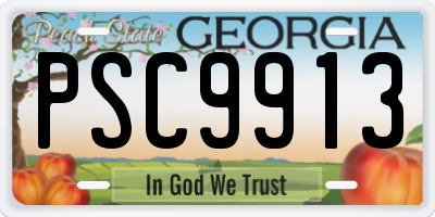 GA license plate PSC9913