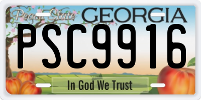 GA license plate PSC9916