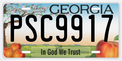 GA license plate PSC9917