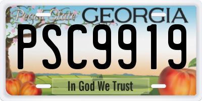 GA license plate PSC9919