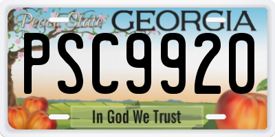 GA license plate PSC9920