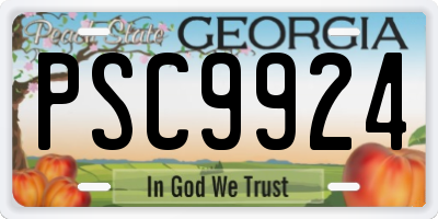 GA license plate PSC9924