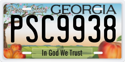 GA license plate PSC9938
