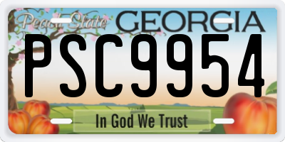 GA license plate PSC9954