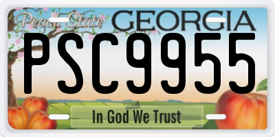 GA license plate PSC9955