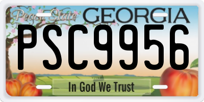 GA license plate PSC9956
