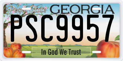GA license plate PSC9957