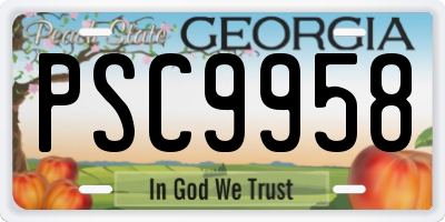 GA license plate PSC9958