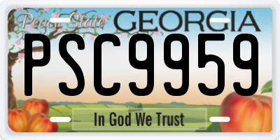GA license plate PSC9959