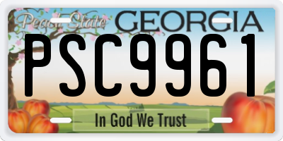 GA license plate PSC9961