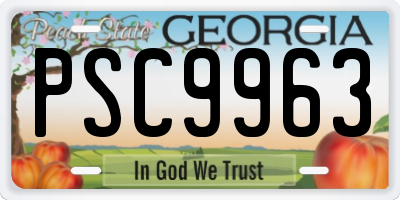 GA license plate PSC9963