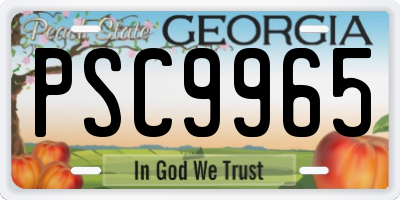GA license plate PSC9965