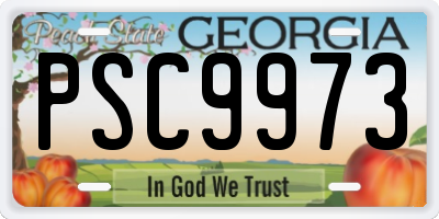 GA license plate PSC9973