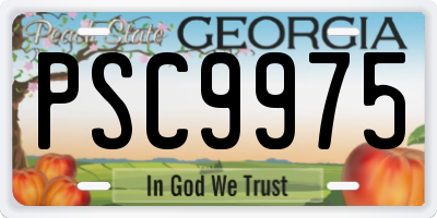 GA license plate PSC9975