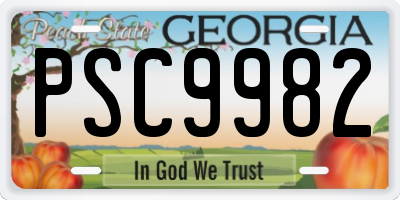 GA license plate PSC9982