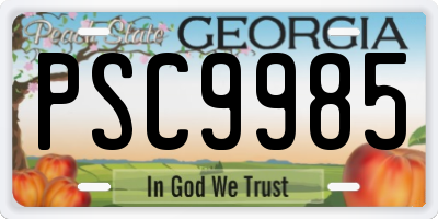 GA license plate PSC9985