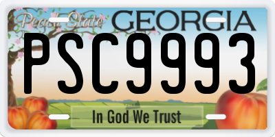 GA license plate PSC9993