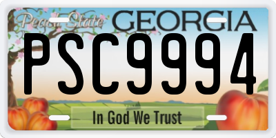 GA license plate PSC9994