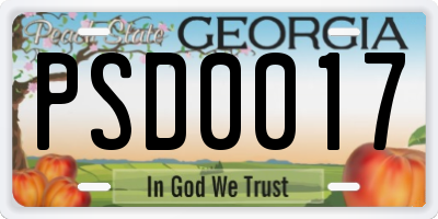 GA license plate PSD0017
