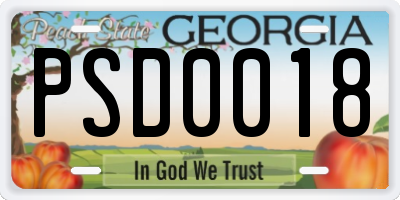 GA license plate PSD0018