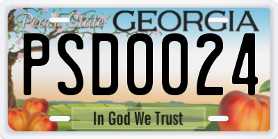 GA license plate PSD0024