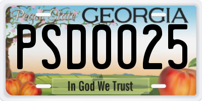 GA license plate PSD0025