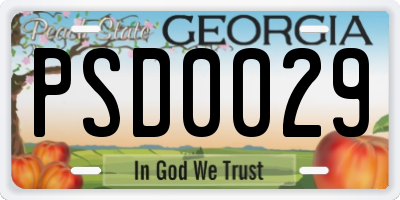 GA license plate PSD0029