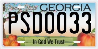 GA license plate PSD0033