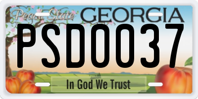 GA license plate PSD0037