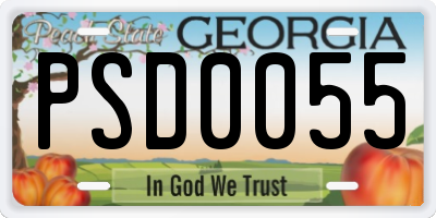 GA license plate PSD0055