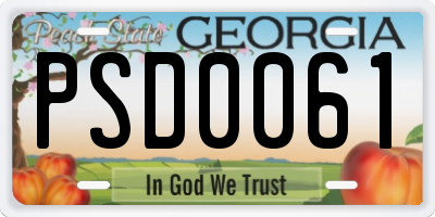 GA license plate PSD0061