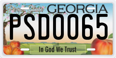 GA license plate PSD0065