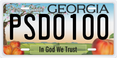 GA license plate PSD0100