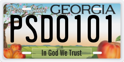 GA license plate PSD0101