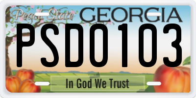 GA license plate PSD0103