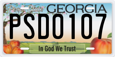 GA license plate PSD0107